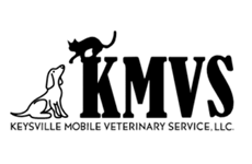 KMVS-web