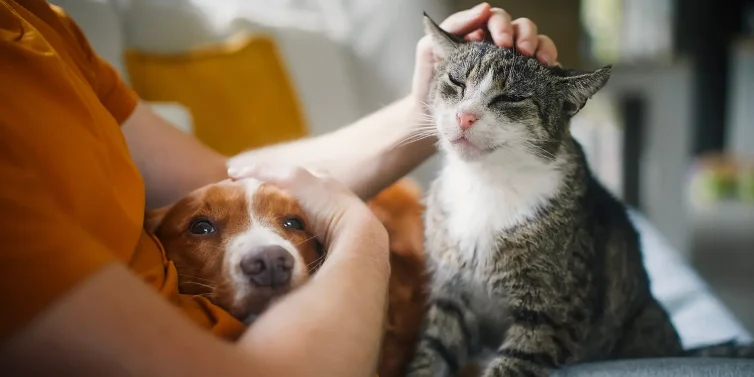 Thank You, Caroline!