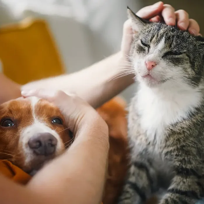 Thank You, Caroline!