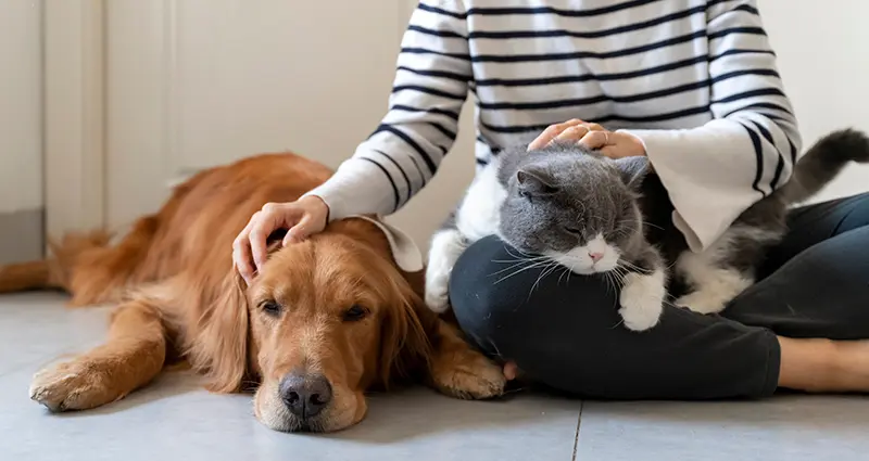 humane-society-page-header-image1