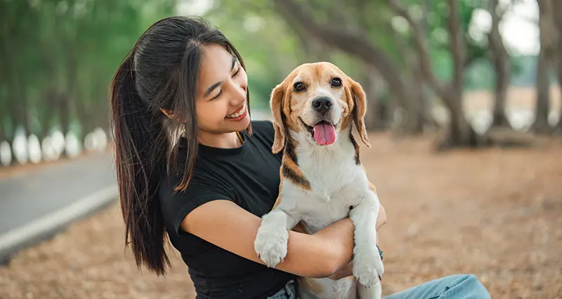 Stray, Lost & Founds Pets
