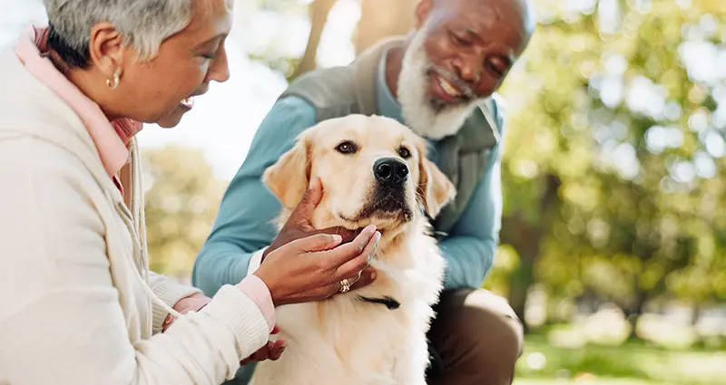 Help Volunteer at the Humane Society of Carroll County