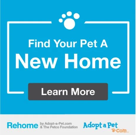 Rehome - Adopt a Pet