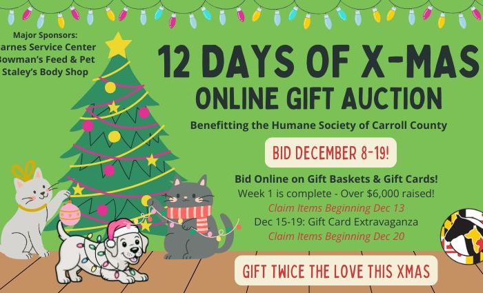 Thank You to Our Sponsors & Auction Item Donors