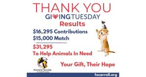 Untitled (800 x 425 px) (5)