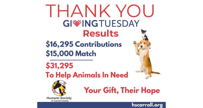 generosity-in-action-giving-tuesdays-lifesaving-impact