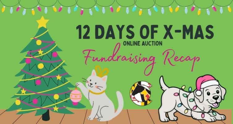 12 Days of Christmas Auction Raises $8,371 to Support Lifesaving Work at HSCC