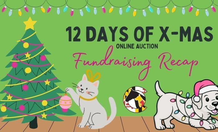 12 Days of Christmas Auction Raises $8,371 to Support Lifesaving Work at HSCC