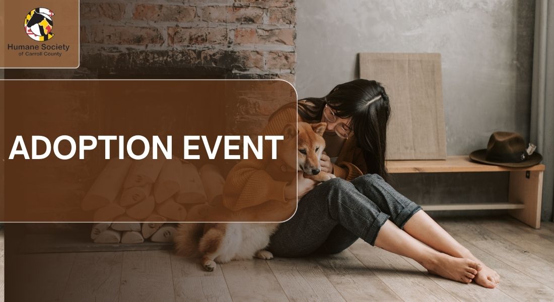 Dog Adoption Event