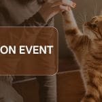 Cat adoption event at PetSmart Hanover, PA 181 Wilson Ave, Hanover, PA 17331 Saturday, March 7th from 11am-2pm. Stop by to meet your new family member.