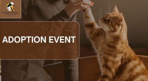 PetSmart Adoption Event