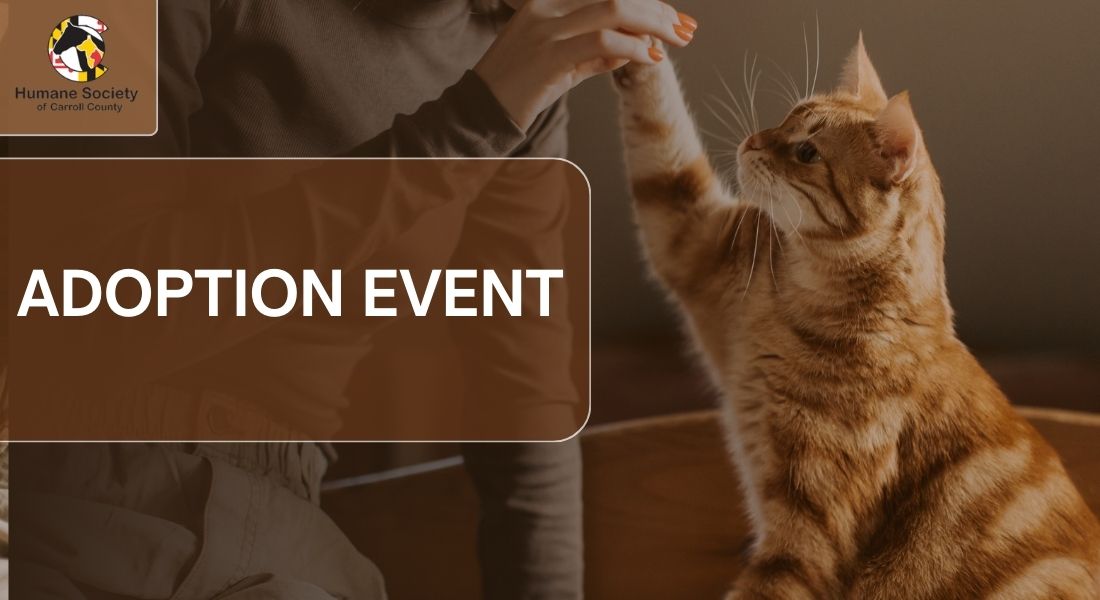 PetSmart Adoption Event