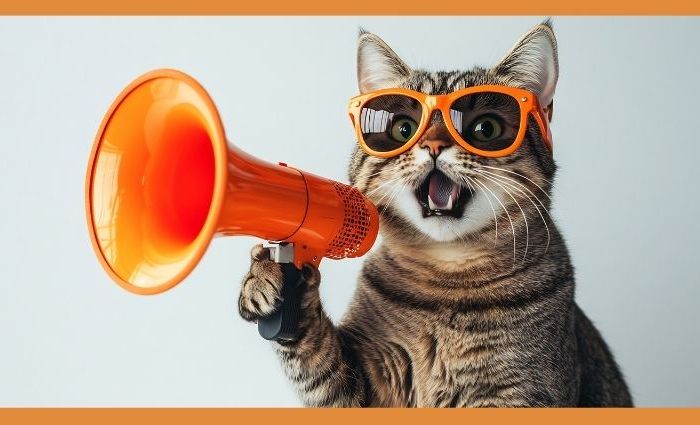 How HSCC Communicates with Foster Volunteers