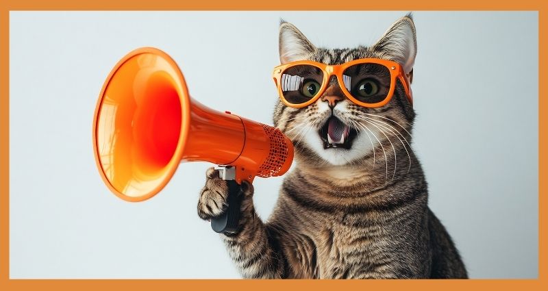 how-hscc-communicates-with-foster-volunteers