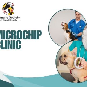 Free Microchip Clinics