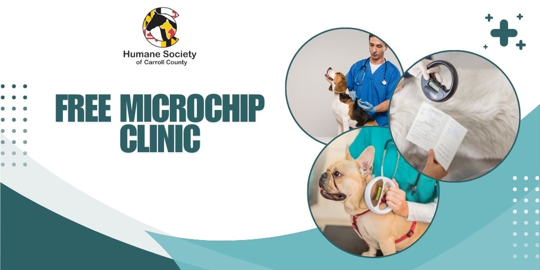 Free Microchip Clinics