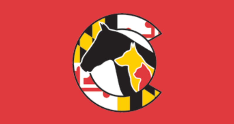 hscc-earns-official-no-kill-shelter-designation-from-best-friends-animal-society