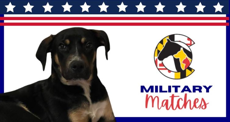 Veterans Continue to Save Lives Through Adoption