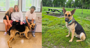 Max the German Shepherd with his new family.