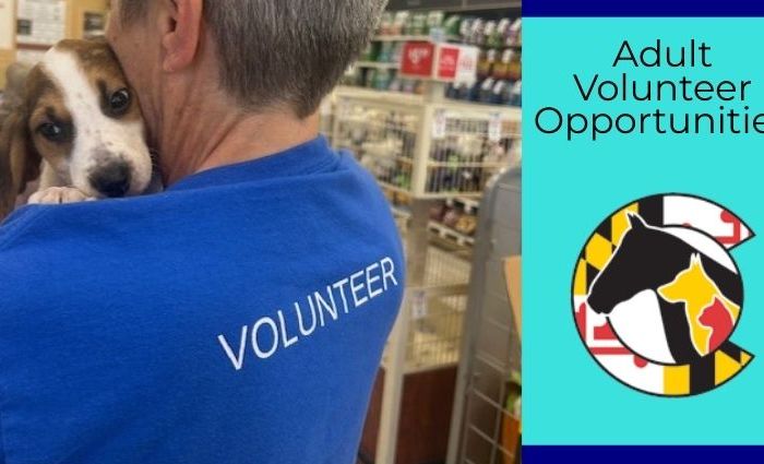 Volunteer Opportunities at HSCC for 18+