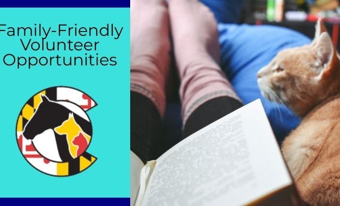 Family-Friendly Volunteer Opportunities at HSCC