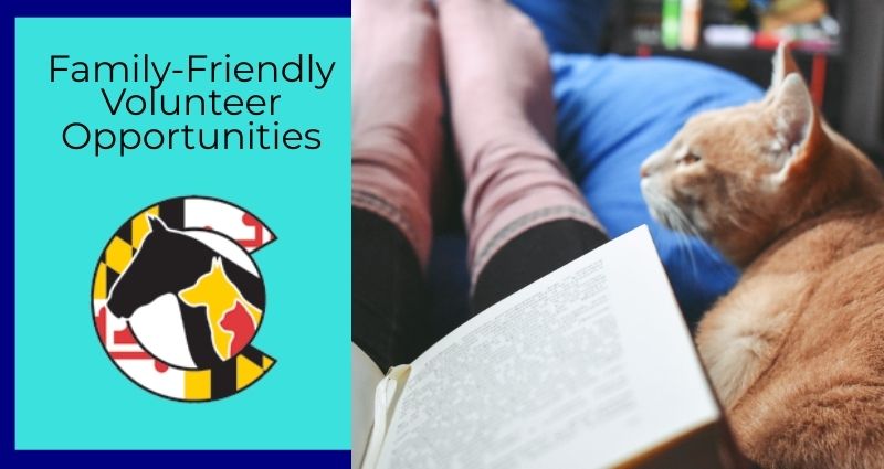 family-friendly-volunteer-opportunities-at-hscc