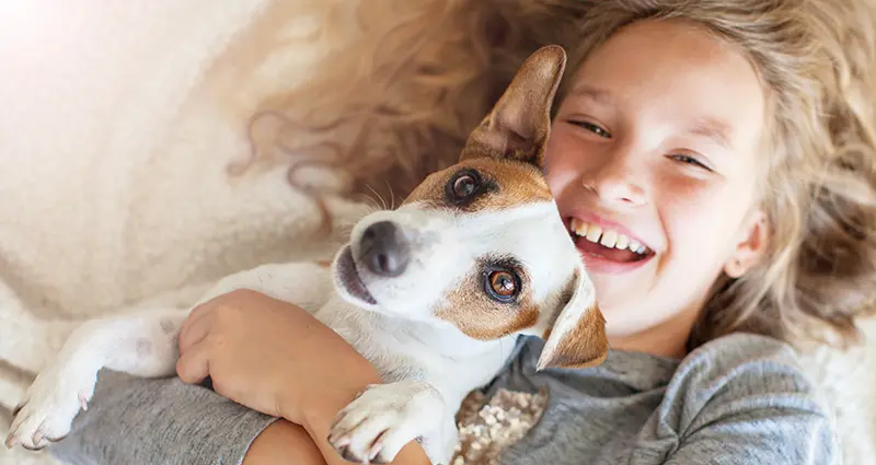 humane-society-teen-dog-image1