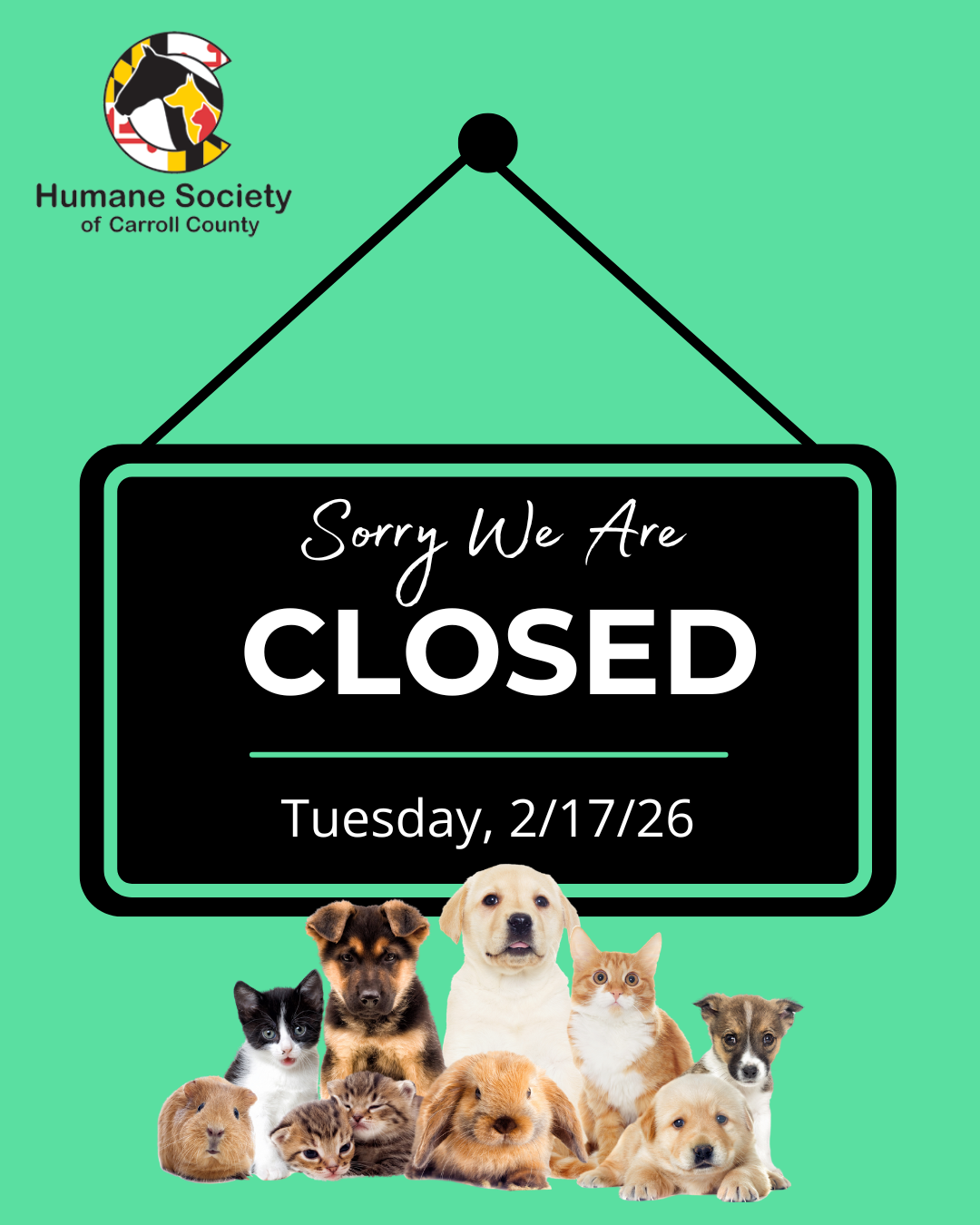 The Humane Society of Carroll County is closed today, 2/17, for routine cleaning and maintenance. **This does not affest the Spay/Neuter Clinic. Appointments are as scheduled. Animal control will respond to emergencies only. Donations can be dropped off in the blue bins inside the front door. We will continue normal business operations Wednesday, 2/18. Thank you for your understanding.