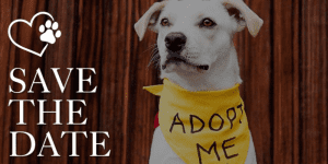 Flood Zone Adoption Event