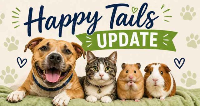 Happy Tails update: an adoption story