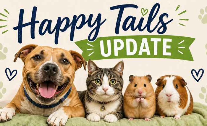 Happy Tails: Ham