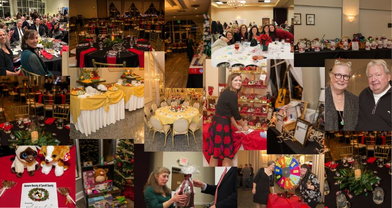 tails-at-twilight-fundraising-gala-through-the-years