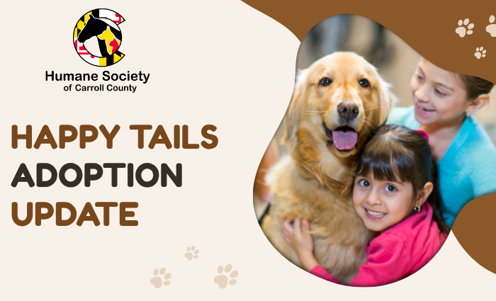 Happy Tails: Four