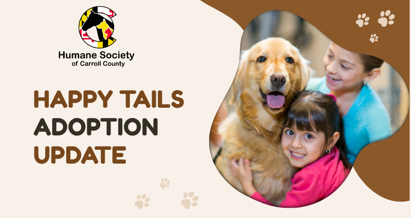 happy-tails-four