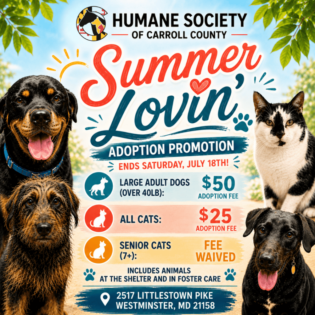 Summer lovin adoption promotion. Now through July 18th. All cat adoptions $25, cats age 7 + years are fee waived. Dogs 50+ lbs are $50.