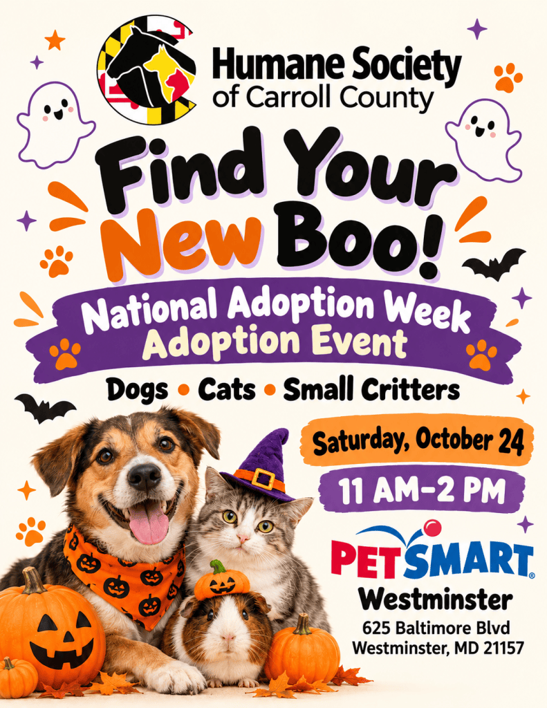 ChatGPT Image Oct 1 2026 095231 AM Humane Society of Carroll County